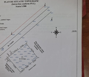 Casa bradu p+1 - imagine 7