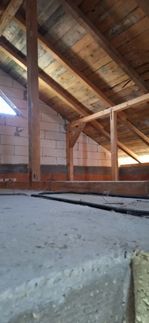 Casa bradu p+1 - imagine 9