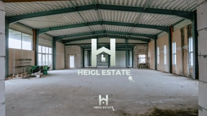 Sala de evenimente in Albina - imagine 13