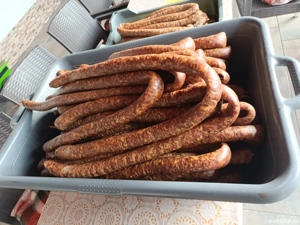 Vand carnati de casă 