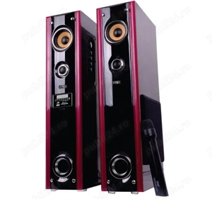 Set boxe turn active+microfon+cititor SD USB Intex