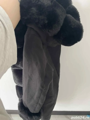 palnton cu blana iarna