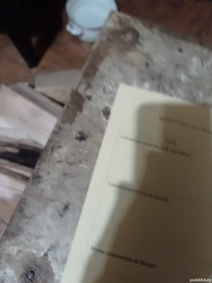 Ofer consultanta la licențe și disertații.