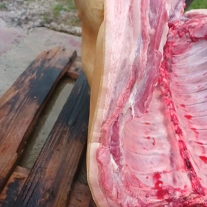 Porci de carne ,livrare în Constanța  - imagine 2