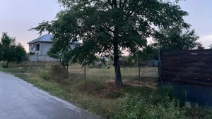 Teren parcelabil, toate utilitatile, Samurcasi, Buftea - imagine 4