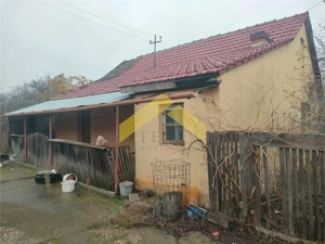 Casa cu teren 1757 mp in Sambateni de vanzare - imagine 3