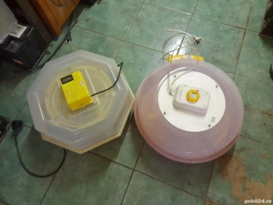 Incubatoare electrice pentru ouă - imagine 2