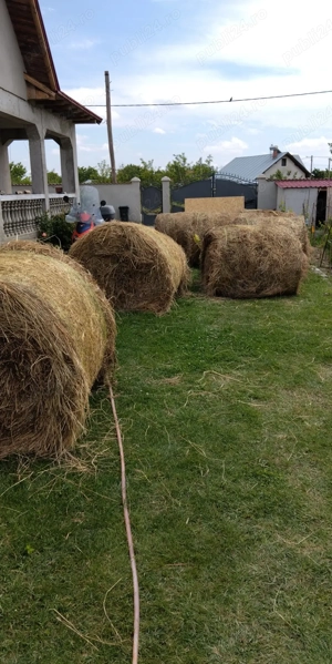 Baloți de iarbă cu lucernă de vînzare 11 baloți rotunzi.. 