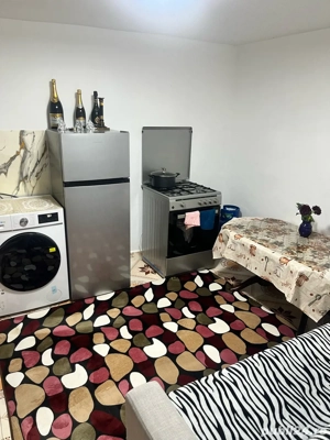 casa de vanzare trestiana - imagine 4