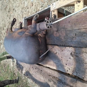 Carcasa porc - imagine 2