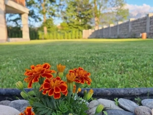 Transylvania Mountain Chalet Predeluț - imagine 2