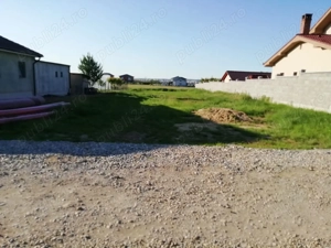 Teren de vanzare 1000 m Cihei 88 Euro  m - imagine 3