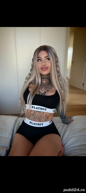 show web.. - imagine 3