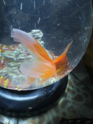 Vând bol cascadă led - imagine 2