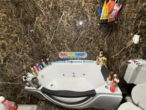 Apartament 2 camere Mobilat Utilat in Militari Residence 550 Euro - imagine 15