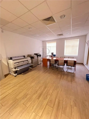 Mircea Cel Batran - Casa individuala - SAD - Pretabil afacere - 710mp utili - Teren 1500mp - imagine 10