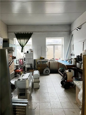 Mircea Cel Batran - Casa individuala - SAD - Pretabil afacere - 710mp utili - Teren 1500mp - imagine 16