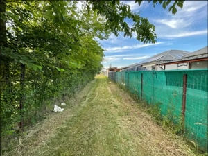 Domnești   teren 750mp, cu puț, pomi, gard viu, gard bordurat, porti - imagine 5