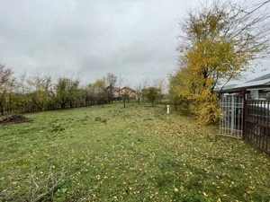 Domnești   teren 750mp, cu puț, pomi, gard viu, gard bordurat, porti - imagine 4