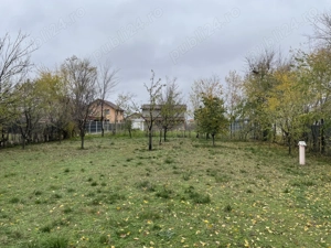 Domnești   teren 750mp, cu puț, pomi, gard viu, gard bordurat, porti