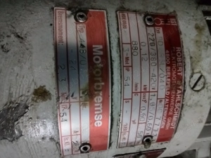 Motor trifazic cu reductor 