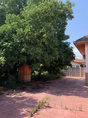 Vând casă conac Comuna Cricău, judet Alba - imagine 19