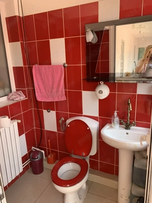 Vând casă conac Comuna Cricău, judet Alba - imagine 12