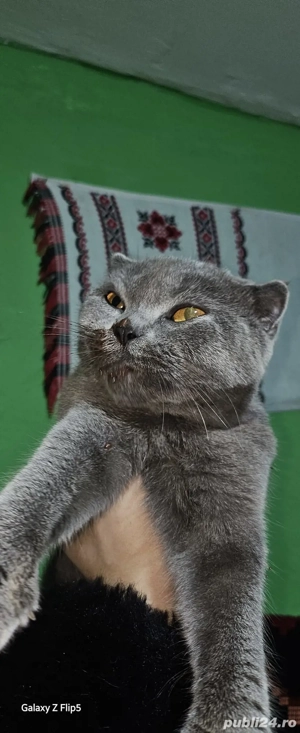 Oferta de sărbători! - imagine 2