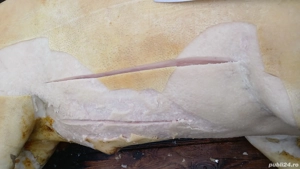 vând  porc  de carne sat chiscareni comuna Șipote  județ  iasi  - imagine 2