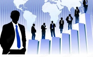 Consiliere în afaceri