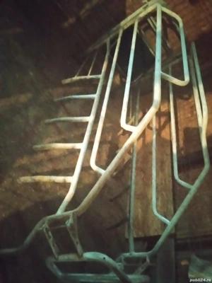 boxă fătare scroafe 