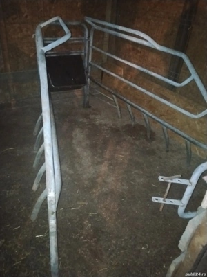 boxă fătare scroafe  - imagine 3