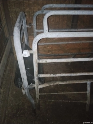 boxă fătare scroafe  - imagine 4