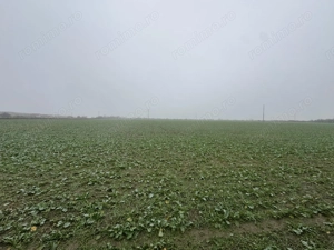 COMISION 0 | Teren intravilan | 7.473 mp | Zona Freidorf - imagine 2