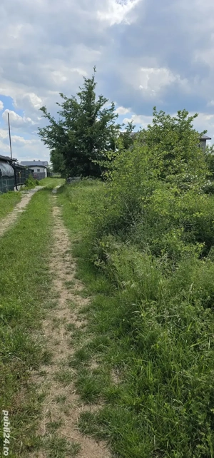 Urgent! Vand teren 750MP in Domnesti Ciutaci Ilfov - imagine 8