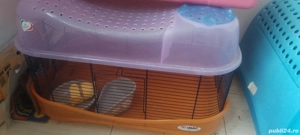 Cusca animale iepuri hamster