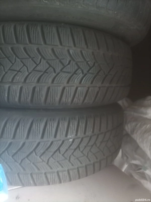 Vand Cauciucuri iarna Dunlop 195/65/15