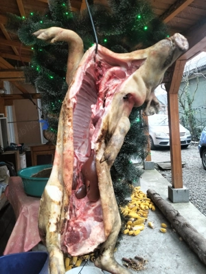 Purcel proțap cuptor - imagine 2