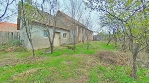 Casă cu potențial, teren generos de 1.440 mp   Secusigiu, Arad - imagine 7