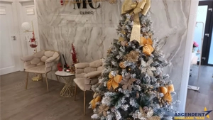 Spatiu 100 mp,ideal cabinete medicale,3 cai de acces,curent trifazic,Tractorul,Brasov - imagine 1