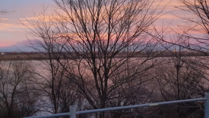 Oportunitate investitie Vila Rosu 473mp, 2500 mp teren, cu deschidere la Lac  - imagine 7