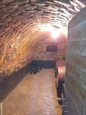 vand cabana cu beci in loc. Zauan - imagine 2