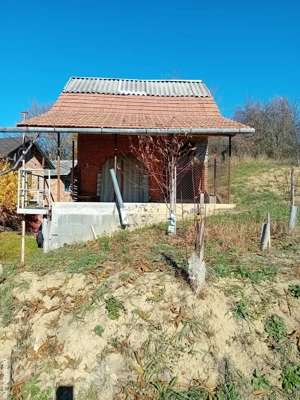 vand cabana cu beci in loc. Zauan - imagine 3