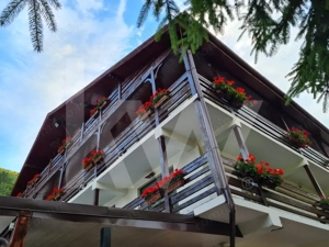 Investiție Premium în Inima Munților Cindrel - imagine 19