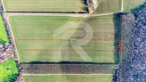 Teren langa Manastirea Sfantul Nicolae Sitaru - imagine 2