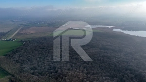 Teren langa Manastirea Sfantul Nicolae Sitaru - imagine 7