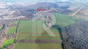 Teren langa Manastirea Sfantul Nicolae Sitaru - imagine 3