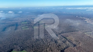 Teren langa Manastirea Sfantul Nicolae Sitaru - imagine 5