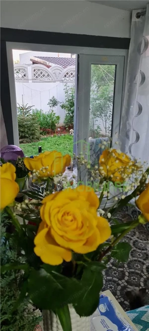 doua camere cu  curte