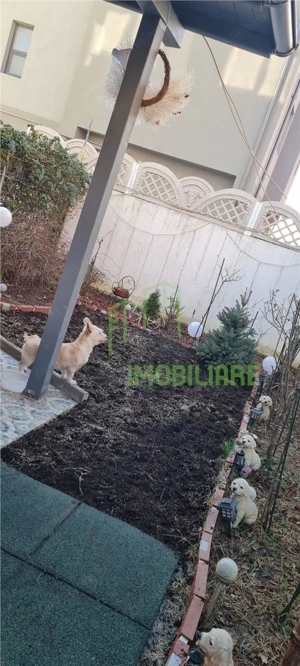  Apartament doua camere si  curte - imagine 4